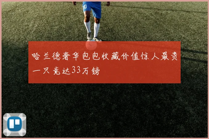 哈兰德奢华包包收藏价值惊人最贵一只竟达33万镑