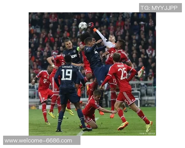 海登海姆计划与拜仁谈判以留住小伊布实现长期合作