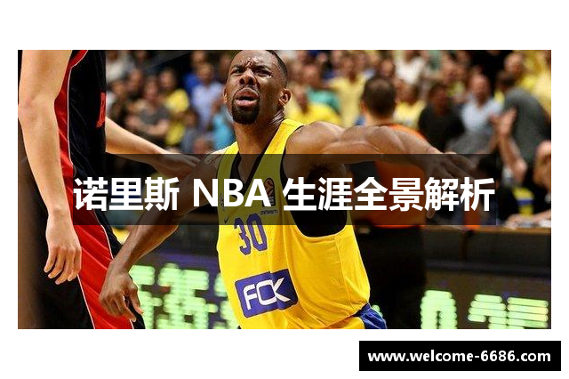 诺里斯 NBA 生涯全景解析