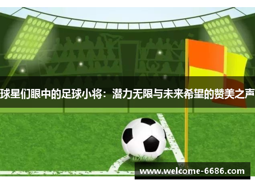球星们眼中的足球小将：潜力无限与未来希望的赞美之声
